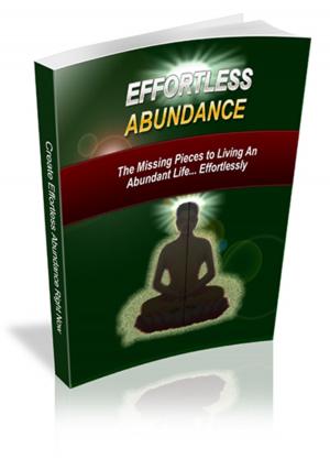 Cover of the book Effortless Abundance by Sue Brown