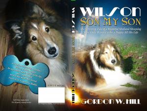 Cover of the book Wilson Son My Son by Rachael L Robertson