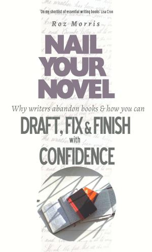 Cover of the book Nail Your Novel: Why Writers Abandon Books And How You Can Draft, Fix and Finish With Confidence by Kevin McLaughin
