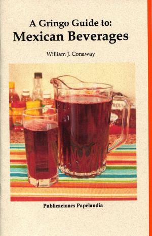 Book cover of A gringo Guide to Mexican Beverages