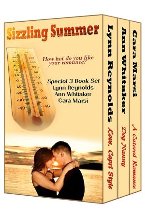 Cover of the book Sizzling Summer (Boxed Set) by Merry Holly, Cara Marsi/ Bobbi Lerman, Vicki Batman/ Gerri Brousseau