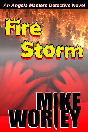 Cover of the book Fire Storm by Karen Adler, Judith Fertig