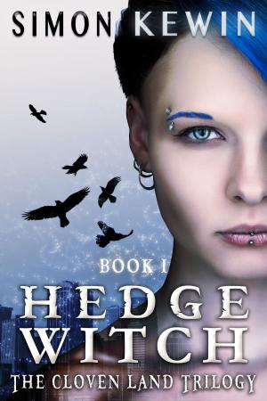 bigCover of the book Hedge Witch by 