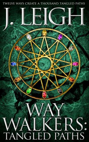 Cover of the book Way Walkers: Tangled Paths by Jon Ripslinger