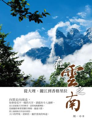 Cover of the book 在雲之南 by 司馬遷