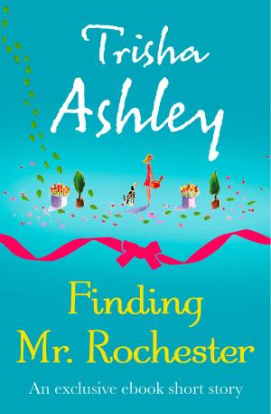 Book cover of Finding Mr Rochester