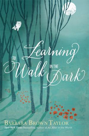 Cover of the book Learning to Walk in the Dark by Jed J. Deason