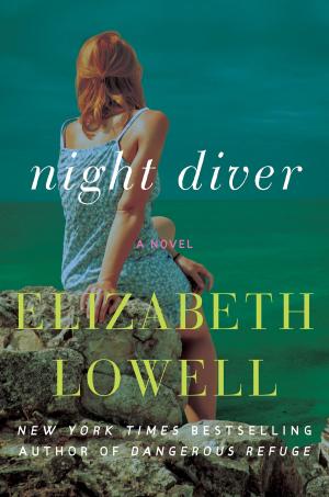 Cover of the book Night Diver by Kate St. James