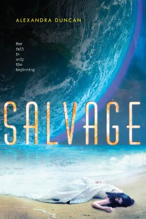 Cover of the book Salvage by Diana Wynne Jones