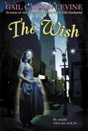 Cover of the book The Wish by Jeff Brown
