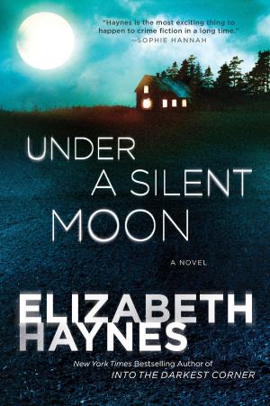 Cover of the book Under a Silent Moon by Lesann Berry