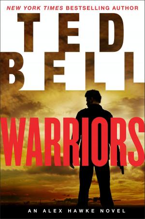 Cover of the book Warriors by Elizabeth Peters