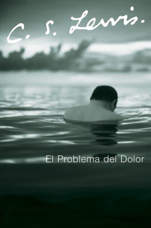 Cover of the book El Problema del Dolor by David Niven PhD