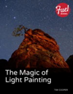 Cover of the book The Magic of Light Painting by David A. Kolb