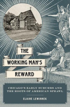 Cover of the book The Working Man's Reward by Cas Mudde, Cristobal Rovira Kaltwasser