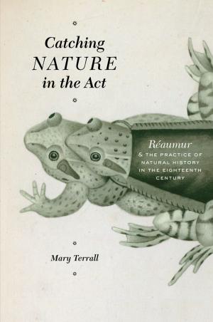 bigCover of the book Catching Nature in the Act by 