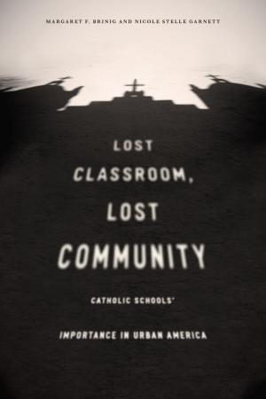 Cover of the book Lost Classroom, Lost Community by Peter Roberts, Shelley Evans