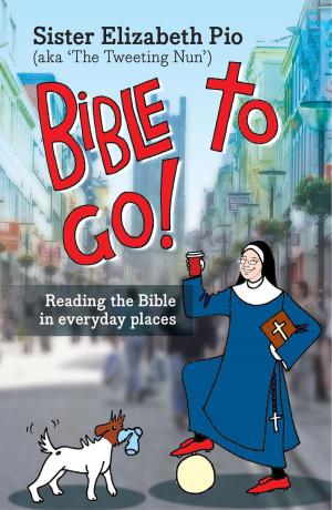 bigCover of the book Bible to Go! by 