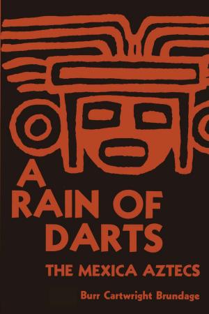 Book cover of A Rain of Darts