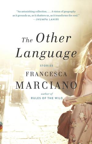 Cover of the book The Other Language by Marisa Acocella Marchetto
