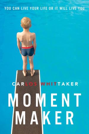 Cover of the book Moment Maker by Jane Peart