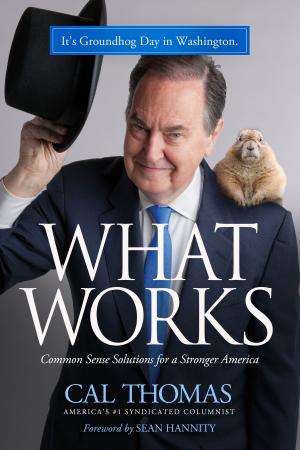 Cover of the book What Works by Robert P. Jones