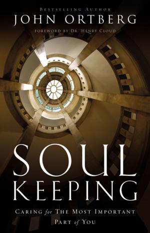Cover of the book Soul Keeping by Debbie Viguié