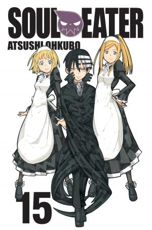 Cover of the book Soul Eater, Vol. 15 by Natsuki Takaya
