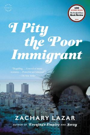 Cover of the book I Pity the Poor Immigrant by David Foster Wallace