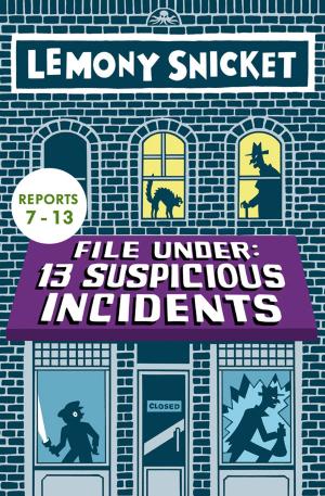 bigCover of the book File Under: 13 Suspicious Incidents (Reports 7-13) by 