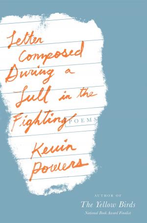 Cover of the book Letter Composed During a Lull in the Fighting by Zoë Ferraris