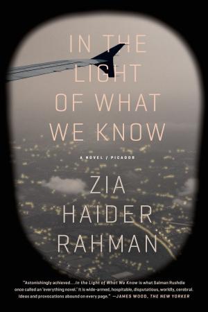 Cover of the book In the Light of What We Know by André Aciman