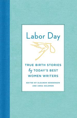 Cover of the book Labor Day: True Birth Stories by Today's Best Women Writers by Jasmin Terrany, LMHC