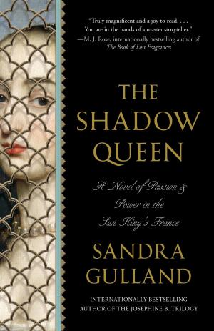 bigCover of the book The Shadow Queen by 