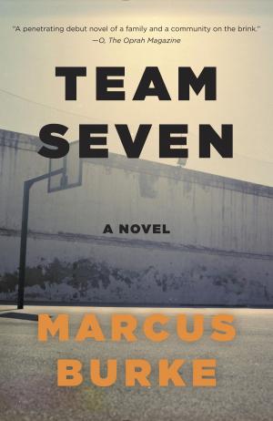 Cover of the book Team Seven by Nick Arvin
