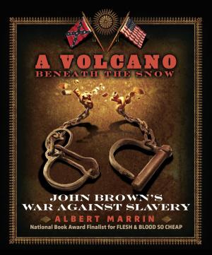 Cover of the book A Volcano Beneath the Snow by Christian Aligba