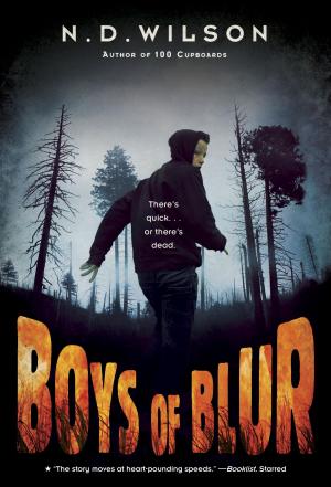Cover of the book Boys of Blur by RH Disney, Heidi Kilgras