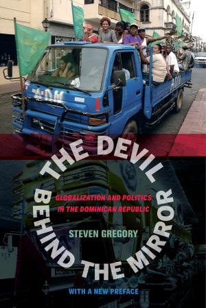 Cover of the book The Devil behind the Mirror by Wendy Cominsky