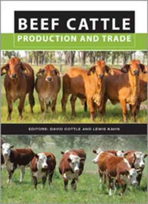 Cover of the book Beef Cattle Production and Trade by F David Hockings AM