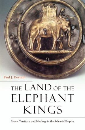 Cover of the book The Land of the Elephant Kings by Timothy Aubry