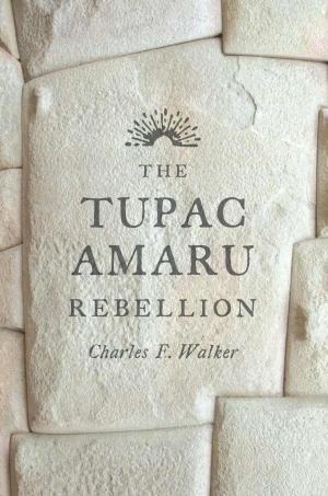 Cover of the book The Tupac Amaru Rebellion by Heidi J. S. Tworek