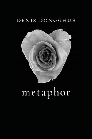 Cover of the book Metaphor by Ronald Dworkin