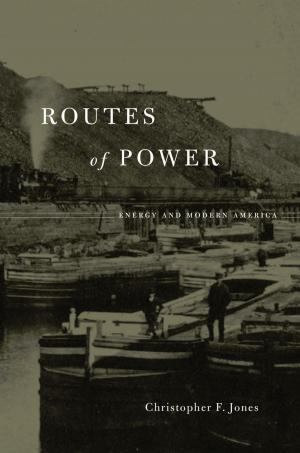 Cover of the book Routes of Power by Peter C. Brown