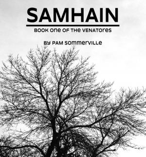 Cover of the book Samhain by Carl Hose