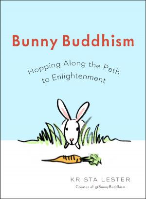 Cover of the book Bunny Buddhism by Margot Anand, Philip Duane Johncock