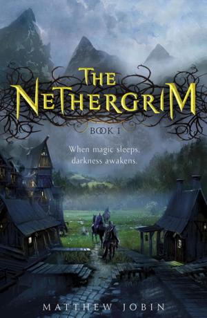 Cover of the book The Nethergrim by Janet Lee Carey
