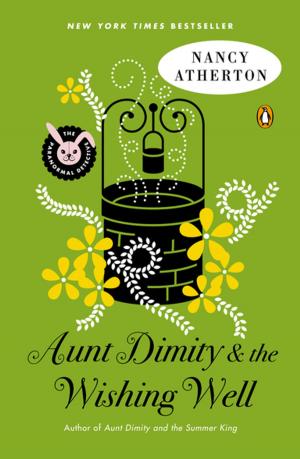 Cover of the book Aunt Dimity and the Wishing Well by Tabor Evans