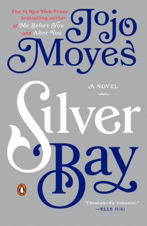 Cover of the book Silver Bay by Tom Clancy