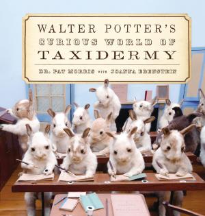 Cover of the book Walter Potter's Curious World of Taxidermy by Raymond Khoury