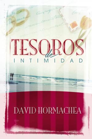 Cover of the book Tesoros de intimidad by John Eldredge